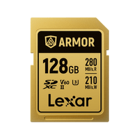 Miniatura 1 de LEXAR 128GB PROFESSIONAL ARMORLEXAR 128GB PROFESSIONAL ARMOR