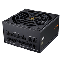 Miniatura 1 de Fuente Alimentación 1000W COUGAR  CGRGDN-1000 80 PLUS Gold Fully-Modular Negro