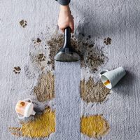 Miniatura 3 de SOLUCION LIMPIEZA ROWENTA XD5310F0 -