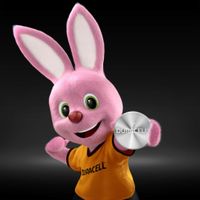Miniatura 3 de Duracell Pila Botón Alcalina LR44 1,5V Blister*2