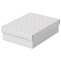 Miniatura 1 de PACK 3 CAJAS BLANCAS 360X265X100MM ESSELTE 628284
