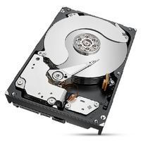 Miniatura 2 de SEAGATE IronWolf Pro  ST8000NT001 8000GB 3.5" Serial ATA III