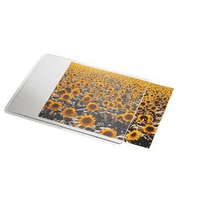 Miniatura 1 de ALFOMBRILLA PERSONALIZABLE DATALINE PARA RATON ESSELTE 67691