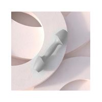 Miniatura 9 de DEPORTE PESAS XIAOMI FED KIT 2 MANCUERNAS 1,8KG